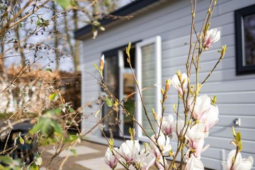 Zahrada ubytování Gezellig modern chalet midden op de Veluwe
