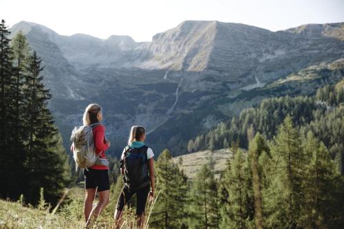 two people standing on a hill looking at a valley at Kalkalpen Apartments in Spital am Pyhrn