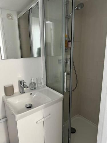 une salle de bain avec une douche, un lavabo et un miroir dans l'établissement Appartement 3 pièces face à l'océan Hourtin Plage, à Hourtin