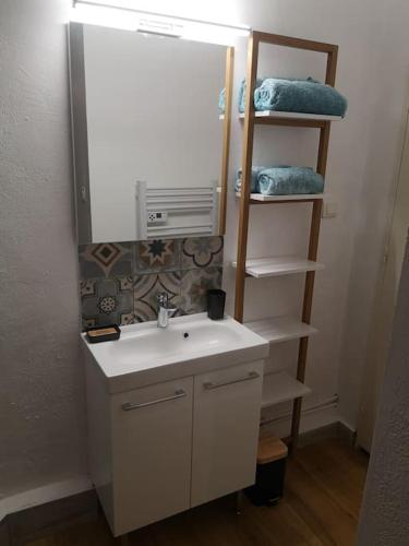 une salle de bain avec un lavabo et un miroir dans l'établissement Appartement Mourillon à 80m des plages, à Toulon