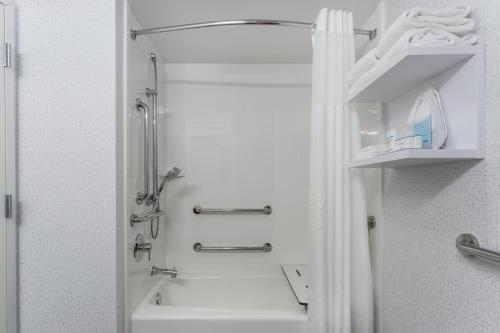 bagno con doccia e vasca bianca di Hampton Inn Sioux Falls a Hayward Addition