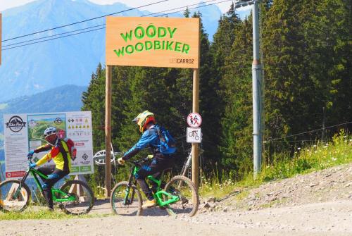 Chalet Arpitan - les Carroz - Grand Massifの敷地内または近くで楽しめるサイクリング
