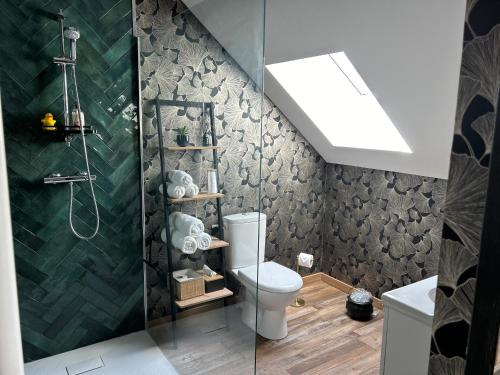 ein Bad mit einer Dusche und einem WC. in der Unterkunft Le Terrier, chambre d'hôte à thème Le sorcier à lunettes 