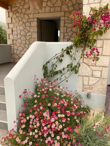 a bunch of flowers on a stair case at Black Pearl Apartment Lithakia Zakynthos in Lithakia