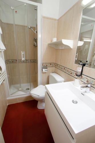 a bathroom with a shower and a toilet and a sink at Hotel Chalet De L'isere in Cannes
