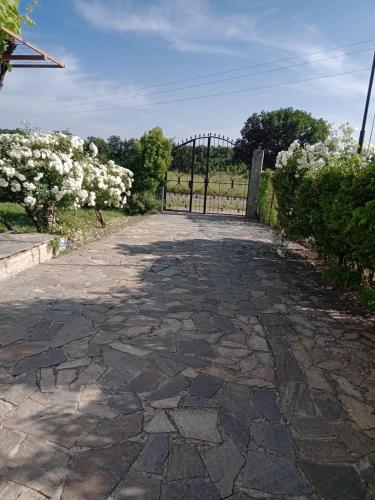 a stone walkway with a gate and white flowers at Sirius Guest House in Sinemorets