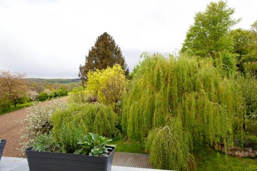 a garden with weeping willow trees and a walkway at Ferienwohnung Pöttner in Germete