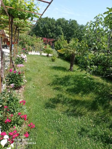 a garden with a lawn with flowers and plants at Sirius Guest House in Sinemorets