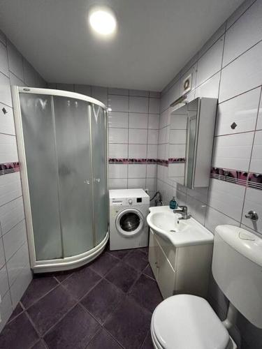 a bathroom with a shower and a toilet and a sink at Renewed 2 Bedroom Apartment with Parking in Ljubljana