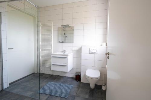 een badkamer met een toilet en een wastafel bij Aan de Amstel in De Kwakel