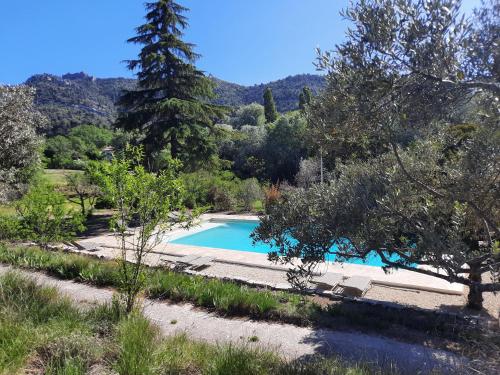 une piscine au milieu d'un jardin dans l'établissement Studios indépendants dans grand Domaine en pleine nature, à Simiane-Collongue