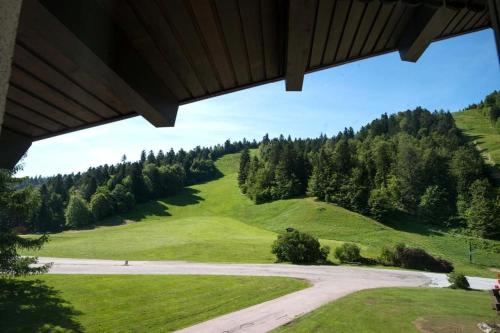 une vue sur une colline herbeuse avec un chemin de terre dans l'établissement Hôtel Chalet Frère Joseph, à Ventron