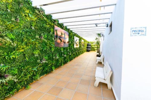 a hallway with a green wall with a bench at Hotel Pozo del Duque in Zahara de los Atunes
