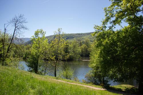 a river in the middle of a field with trees at Camping du Lac in Foix