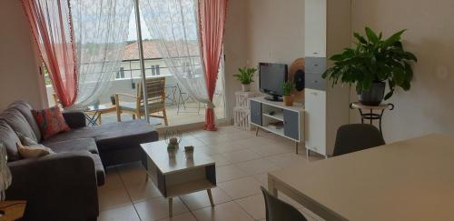 un salon avec un canapé et une télévision dans l'établissement Appartement T2 à 10 min de Montpellier, à Vendargues
