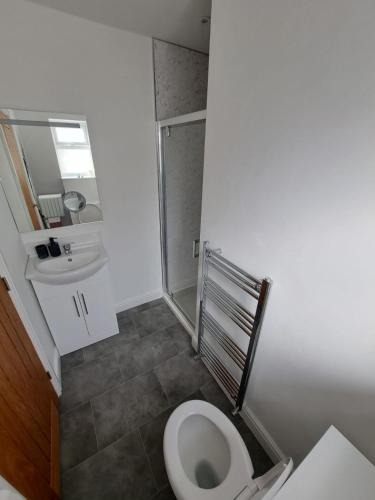 a bathroom with a toilet and a sink at Westleigh House in Fishbourne