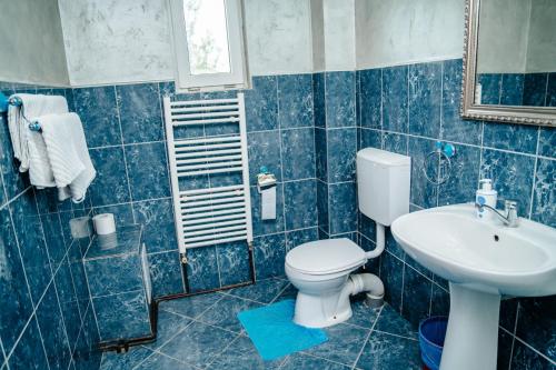 Baño de azulejos azules con aseo y lavamanos en Complex Agroturistic Flori, en Vaţa de Jos