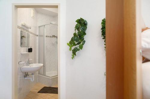 y baño con aseo, lavabo y espejo. en Apartment Tux en Mayrhofen