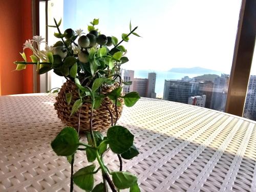 ホテルから撮影された、または一般的な山の景色