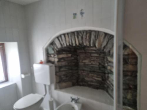 a bathroom with a stone fireplace with a toilet at La mine d'Antan in Ollomont