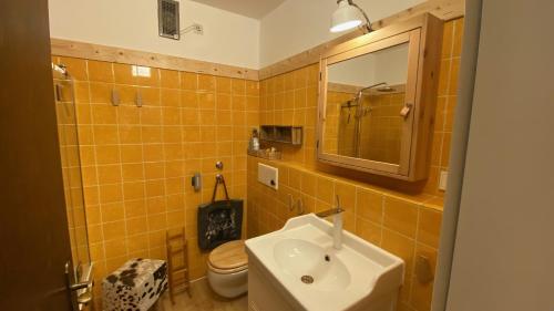 W łazience znajduje się umywalka, toaleta i lustro. w obiekcie Studio consys w mieście Bad Hofgastein