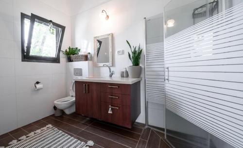 a bathroom with a toilet and a sink and a mirror at Ettys Villa in Giv'at Yo'av