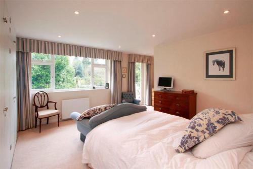 um quarto com uma cama, uma cadeira e uma televisão em Wimbledon Tennis House with Hot Tub; 4 minute walk em Londres