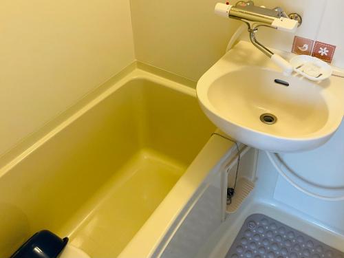 a bathroom with a sink and a toilet and a tub at Warm House2 in Sapporo