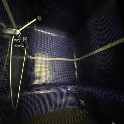 a dark bathroom with a shower with purple tiles at Manoir des Eperviers in Quéven