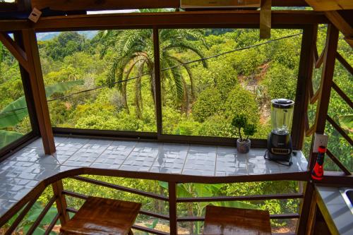 a room with a view of the jungle from a window at Finca Makambu in Platanillo