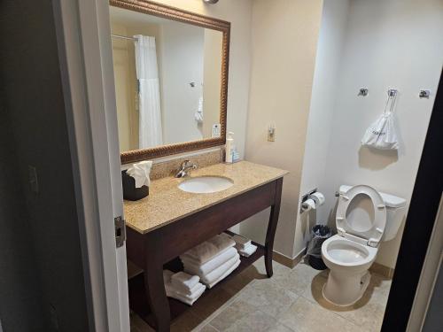 y baño con lavabo, aseo y espejo. en Hampton Inn by Hilton, en Alexander City