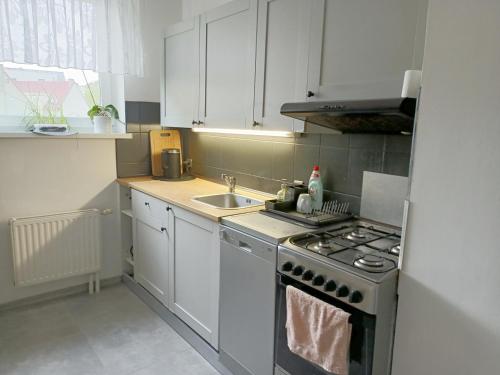 Virtuvė arba virtuvėlė apgyvendinimo įstaigoje Ul Prusa Centrum 45m balkon dla 5 osób