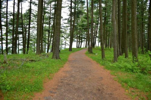 a dirt road through a forest with trees at TownePlace Suites by Marriott Iron Mountain in Iron Mountain