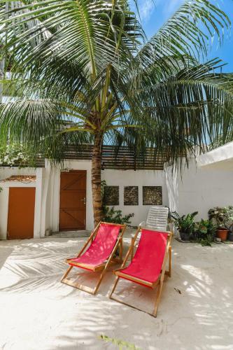 two chairs sitting in the sand under a palm tree at Karanka Villa @ Mahibadhoo in Mahibadhoo