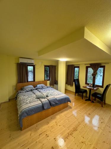 een slaapkamer met een bed, een bureau en stoelen bij Casa Norvegia Ohrid in Ohrid