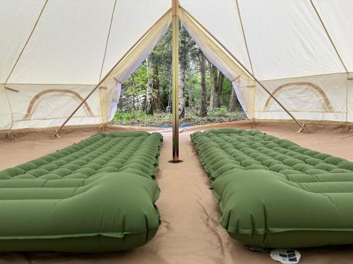 eine Reihe grüner Kissen in einem Zelt in der Unterkunft WoodLands Basic Bell Tent in Grantham