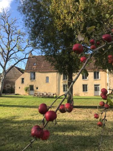 un pommier devant un bâtiment dans l'établissement La Maison de la Lande, à Cuissai