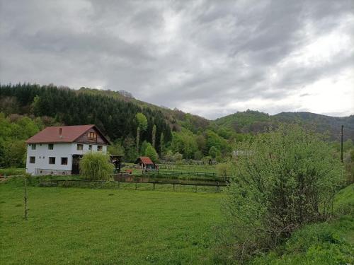 ein weißes Haus mitten auf einem grünen Feld in der Unterkunft Cabana Țibleș 