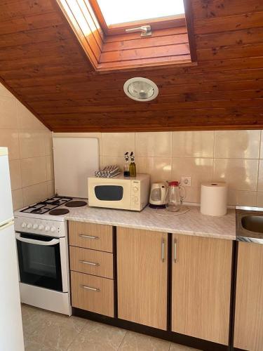 a kitchen with a stove and a microwave at Apartments Arina in Krasici