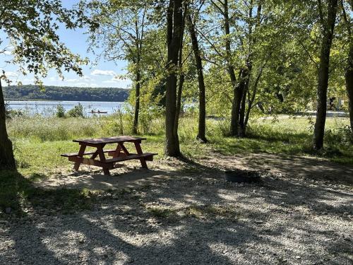 a picnic table in a park near a lake at KAYAK STARVED ROCK CAMPGROUND in Ottawa