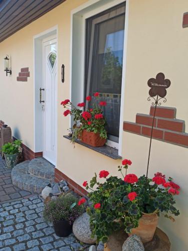 Φωτογραφία από το άλμπουμ του Ferienhaus Liwi σε Liessow