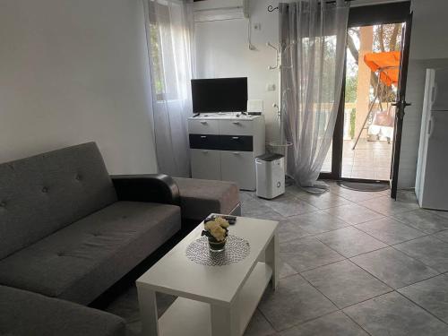 TV a/nebo společenská místnost v ubytování Apartments Arina