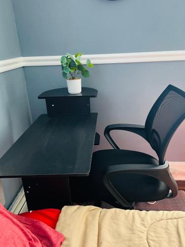 a black chair and a table with a plant on it at Two Bedrooms Home in Irvington