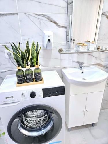 a washing machine with three plants on top of it at Cozy SoRaDa 1 apartment in Bragadiru