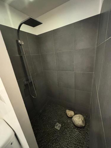 a bathroom with a shower with two rocks in it at un petit coin de paradis avec piscine et parking in Villeneuve-lès-Avignon