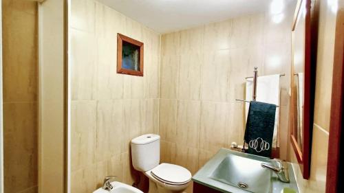 La petite salle de bains est pourvue de toilettes et d'un lavabo. dans l'établissement 2 bedrooms house with furnished terrace and wifi at Lindoso, 