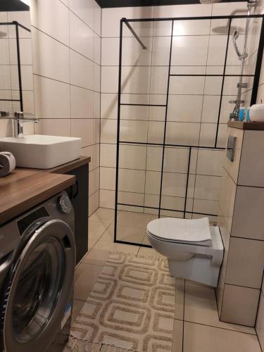 a bathroom with a toilet sink and a washing machine at Apartament dwupokojowy w Elblągu in Elblag