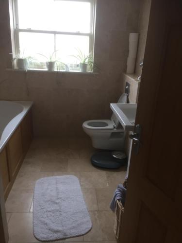 a bathroom with a toilet and a sink and a window at Private room Bishop Norton 