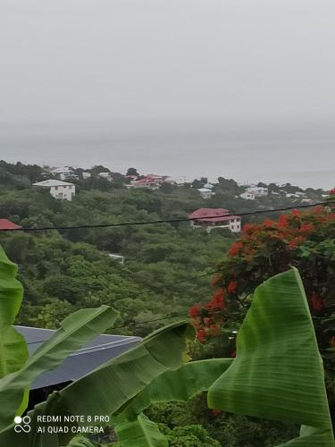 a view from the top of a hill with trees and houses at Lacazavanoo in Baillif