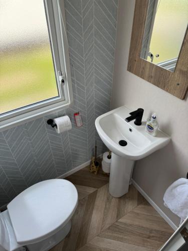 a bathroom with a white toilet and a sink at Sea La Vie Lodge in New Quay